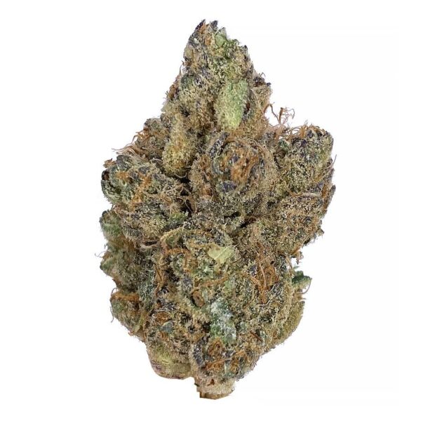 tropical runtz strain aka tropical runts is a sativa dominant weed. Tropical runtz is available for weed delivery by kamikazi. Also available at mom canada at kamikazi.cc