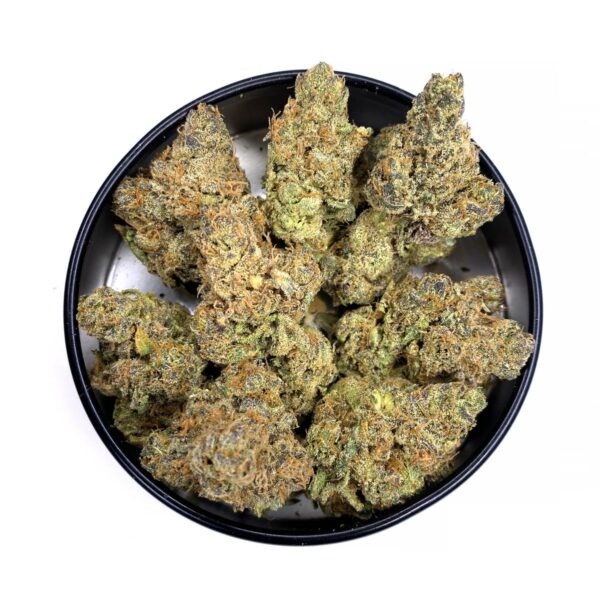 tropical runtz strain aka tropical runts is a sativa dominant weed. Tropical runtz is available for weed delivery by kamikazi. Also available at mom canada at kamikazi.cc