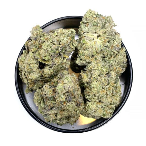 animal face strain is a sativa dominant weed. available for weed delivery in toronto and mail order marijuana