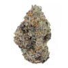 platinum punch strain is a sativa dominant weed available for weed delivery in toronto and mail order marijuana