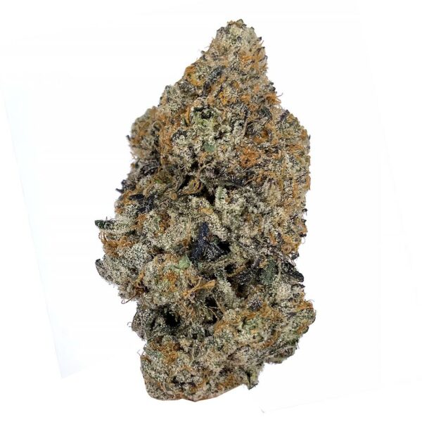 platinum punch strain is a sativa dominant weed available for weed delivery in toronto and mail order marijuana