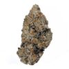 platinum punch strain is a sativa dominant weed available for weed delivery in toronto and mail order marijuana