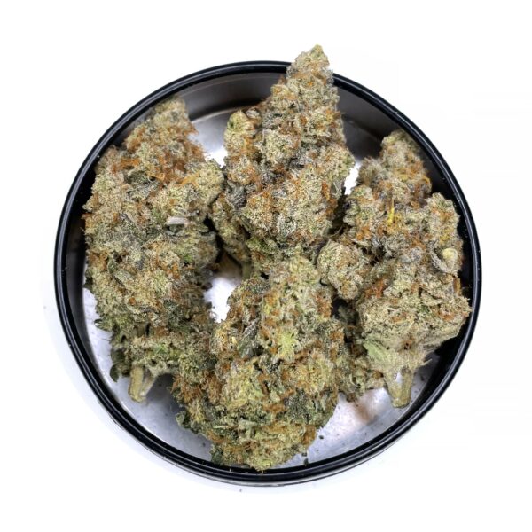 Apple Pie strain is a sativa dominant weed. available for weed delivery in north york and mail order marijuana