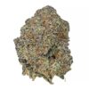 tiger cake strain is an indica dominant weed. available for weed delivery in toronto and mail order marijuana CLOSE UP LOOK OF PREROLL PUFFS 2 X1G PUFFS. TIGER CAKE STRAIN