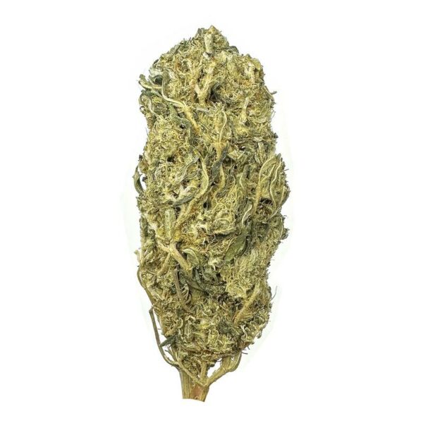 flowerbomb strain is a sativa dominant weed available for weed delivery in brampton and mail order marijuana