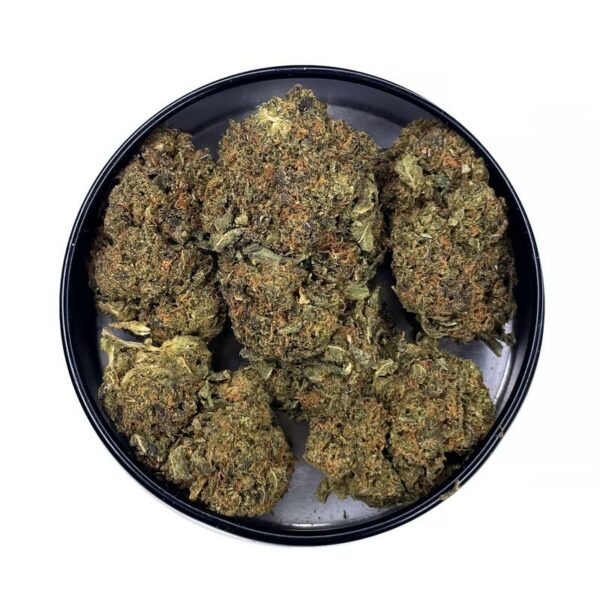 flowerbomb strain is a sativa dominant weed available for weed delivery in brampton and mail order marijuana