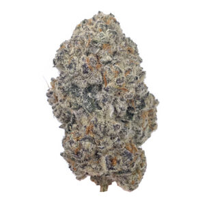 first 48 strain is a sativa dominant weed available for weed delivery and mail order marijuana