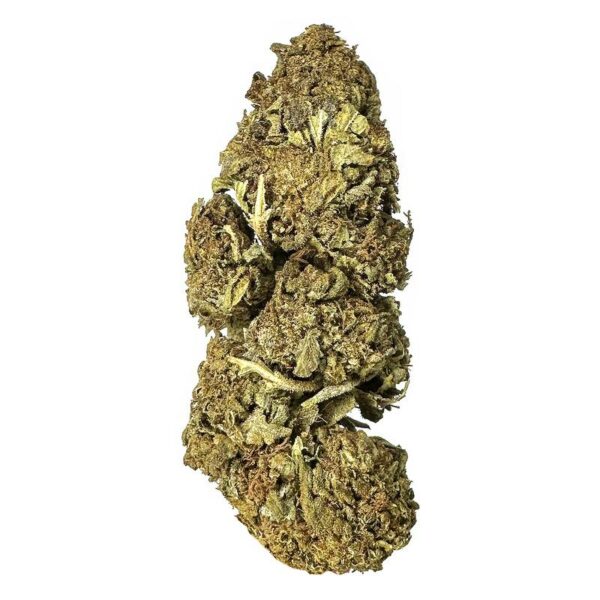 Cactus strain is a sativa dominant weed. available for weed delivery in toronto and mail order marijuana