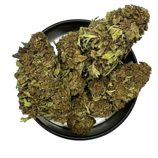 cactus strain is a sativa dominant weed. available for weed delivery in toronto