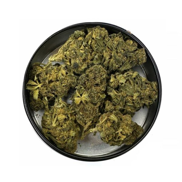 7 Star Cookies is an indica dominant weed. available for weed delivery in toronto and mail order marijuana