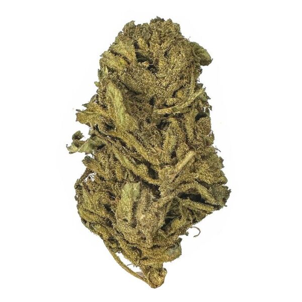 GG#4 strain is a sativa dominant weed. available for weed delivery and mail order marijuana