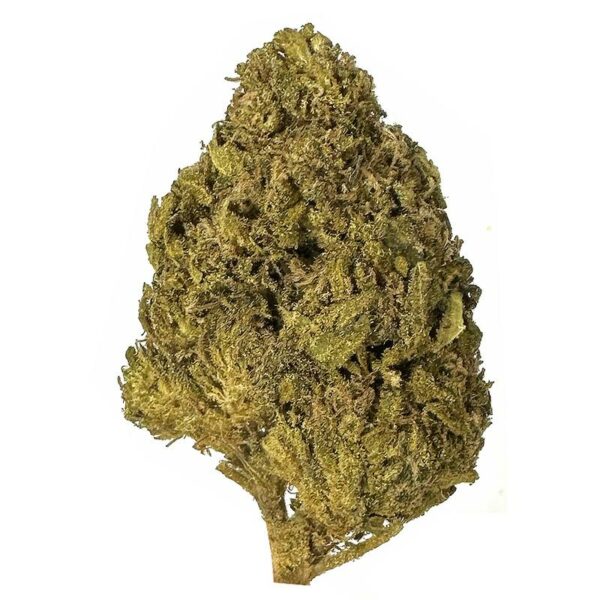 Golden Jamaican strain is an indica dominant weed. available for weed delivery in toronto and mail order marijuana