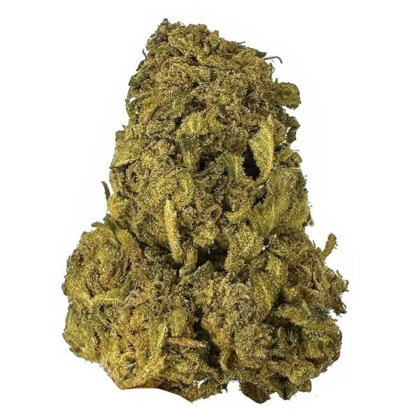 Golden Jamaican strain is an indica dominant weed. available for weed delivery in toronto and mail order marijuana