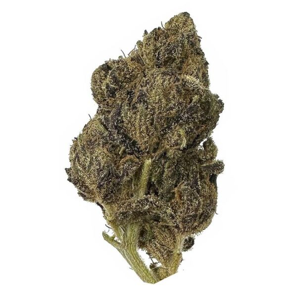 Yogurt aka forbidden cheese strain is an indica dominant weed. available for weed delivery in toronto and mail order marijuana