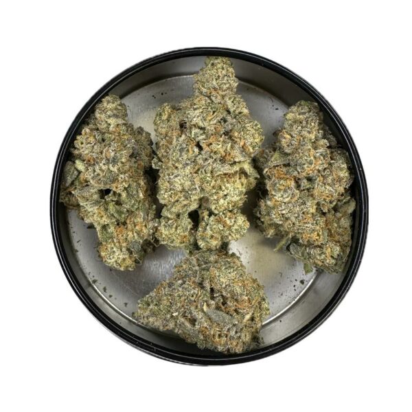 Citrus circus strain is a sativa dominant weed. available for weed delivery in toronto and mail order marijuana