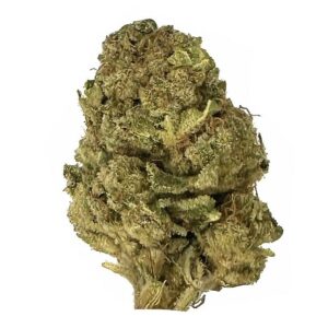 Sugar shack strain is an indica dominant weed. available for weed delivery in toronto and mail order marijuana
