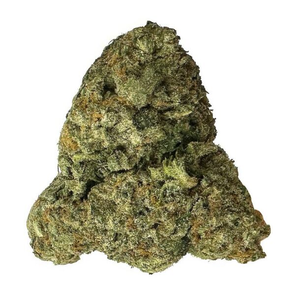 Indica-dominant Blue Cheese strain buds with a frosty appearance, sweet blueberry aroma, and savory cheese undertones. Buy premium Blue Cheese cannabis in Toronto - Order Now! available for weed delivery and mail order marijuana