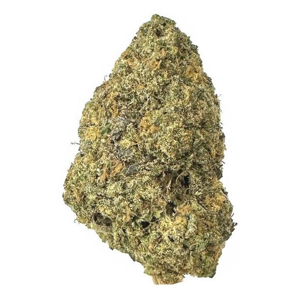gary payton strain is hybrid weed. available for weed delivery in toronto and mail order marijuana