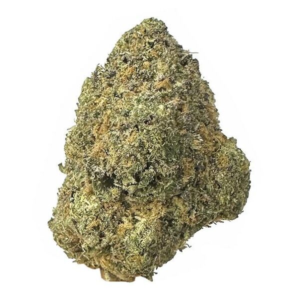 gary payton strain is hybrid weed. available for weed delivery in toronto and mail order marijuana