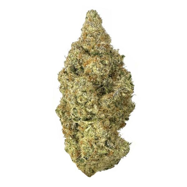 Indulge in the exotic and sweet earthiness of Dirty Banana, a tropical euphoric strain with a unique blend of Banana OG and Kush Mints #11 genetics – a mind-bending delight by Kamikazi weed delivery
