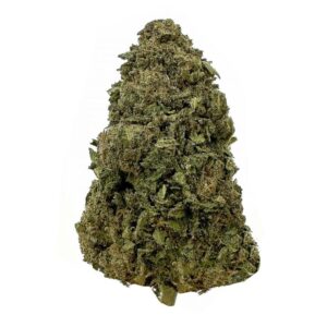 Raspberry diesel strain is a sativa dominant weed available for weed delivery in toronto and mail order marijuana