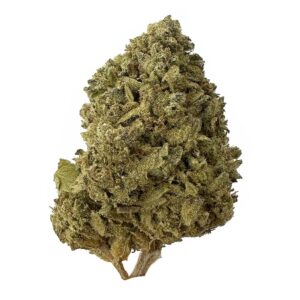 Donny Burger strain is an indica dominant weed available for weed delivery in toronto and mail order marijuana canada-wide
