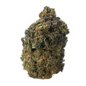domino strain is an indica dominant weed available for weed delivery in toronto and mail order marijuana