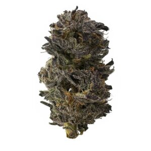 Pure power strain is a sativa dominant weed. available for weed delivery in toronto and mail order marijuana