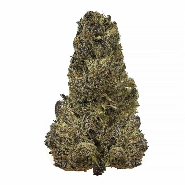 Honey Pave strain is a sativa dominant weed available for weed delivery. available for weed delivery in toronto and mail order marijuana