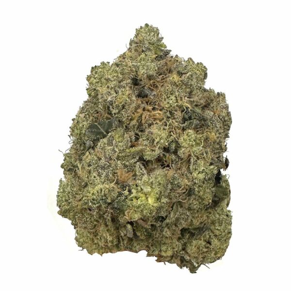 menthol strain is an indica dominant weed available for weed delivery in toronto and mail order marijuana