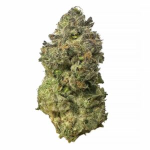 London Poundcake strain is an indica dominant weed available for weed delivery in toronto and mail order marijuana