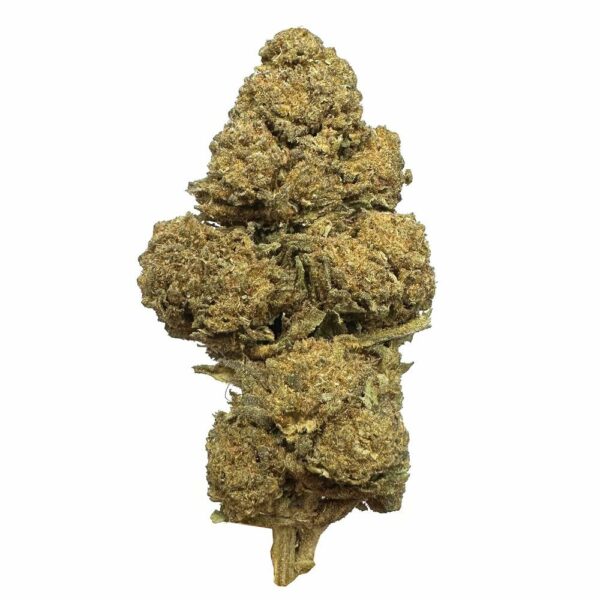 Skunk strain is an indica dominant weed available for weed delivery in toronto and mail order marijuana