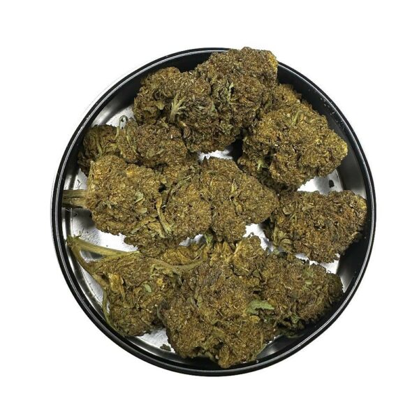 Skunk strain is an indica dominant weed available for weed delivery in toronto and mail order marijuana