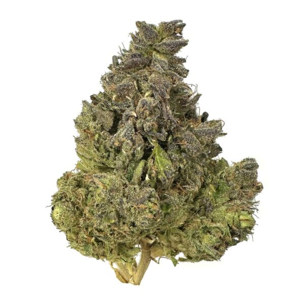 headband strain is an indica dominant weed available for weed delivery in toronto and mail order marijuana