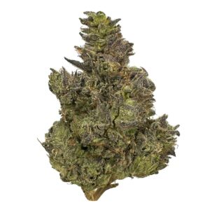 headband strain is an indica dominant weed available for weed delivery in toronto and mail order marijuana