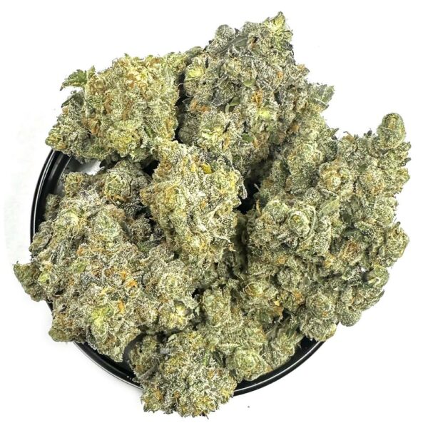 Image of Jealousy Strain in a Dispensary "Jealousy strain in a Toronto dispensary, popular for its high THC content and balanced effects, making it a favorite for both recreational and medicinal cannabis users."