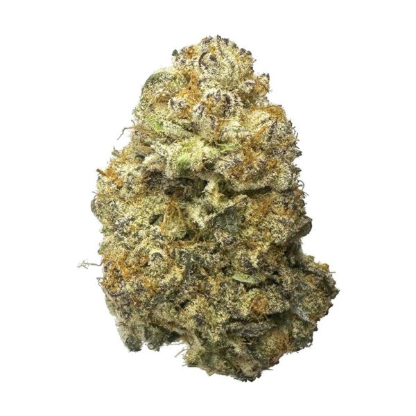 Skywalker OG Strain Aroma "Skywalker OG strain emits a pungent, earthy aroma with hints of citrus and diesel, filling the room with a strong scent."