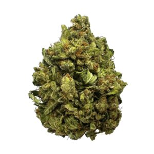 Close-up of Starburst strain buds with frosty trichomes and vibrant colors." "Starburst cannabis flower showcasing dense, resin-covered buds with a sweet aroma." Starburst indica strain Buy Starburst weed online Starburst cannabis strain Toronto Sweet fruity cannabis strain Same-day weed delivery Toronto