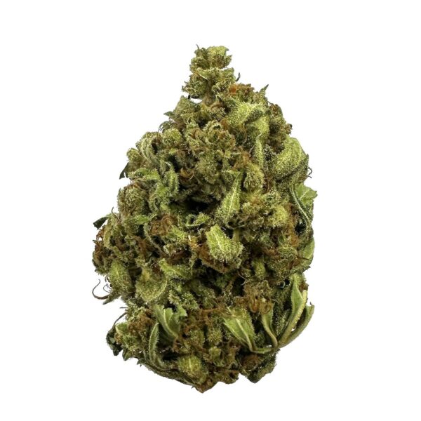 Close-up of Starburst strain buds with frosty trichomes and vibrant colors." "Starburst cannabis flower showcasing dense, resin-covered buds with a sweet aroma." Starburst indica strain Buy Starburst weed online Starburst cannabis strain Toronto Sweet fruity cannabis strain Same-day weed delivery Toronto