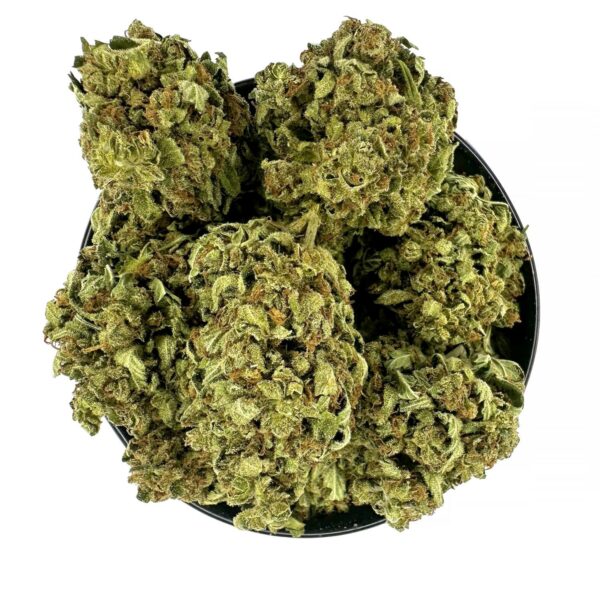 Close-up of Starburst strain buds with frosty trichomes and vibrant colors." "Starburst cannabis flower showcasing dense, resin-covered buds with a sweet aroma." Starburst indica strain Buy Starburst weed online Starburst cannabis strain Toronto Sweet fruity cannabis strain Same-day weed delivery Toronto