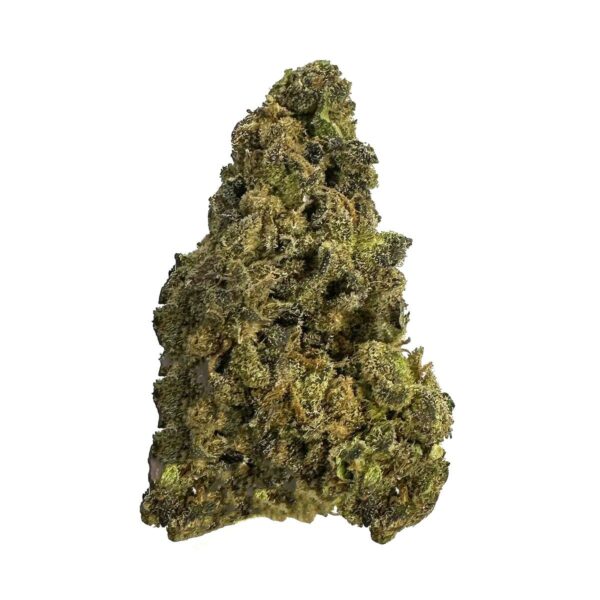 Apricot cannabis buds close-up Apricot marijuana strain effects and flavor profile Fruity Apricot weed hybrid strain Apricot cannabis plant with citrus and diesel aroma