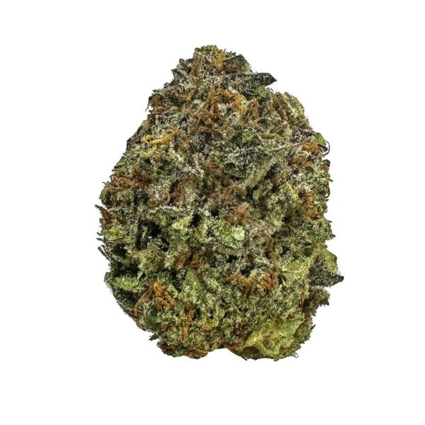 Mango Amnesia cannabis strain Mango Amnesia marijuana buds Mango Amnesia hybrid strain Buy Mango Amnesia online Mango Amnesia weed effects