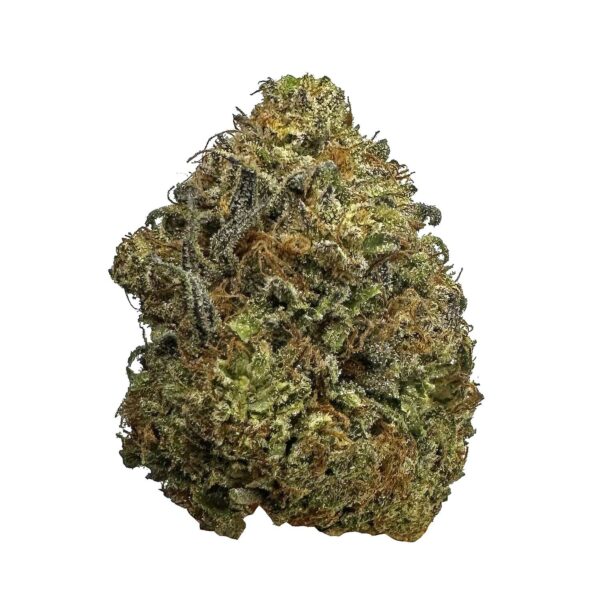 Mango Amnesia cannabis strain Mango Amnesia marijuana buds Mango Amnesia hybrid strain Buy Mango Amnesia online Mango Amnesia weed effects