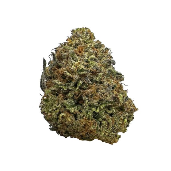 Mango Amnesia cannabis strain Mango Amnesia marijuana buds Mango Amnesia hybrid strain Buy Mango Amnesia online Mango Amnesia weed effects