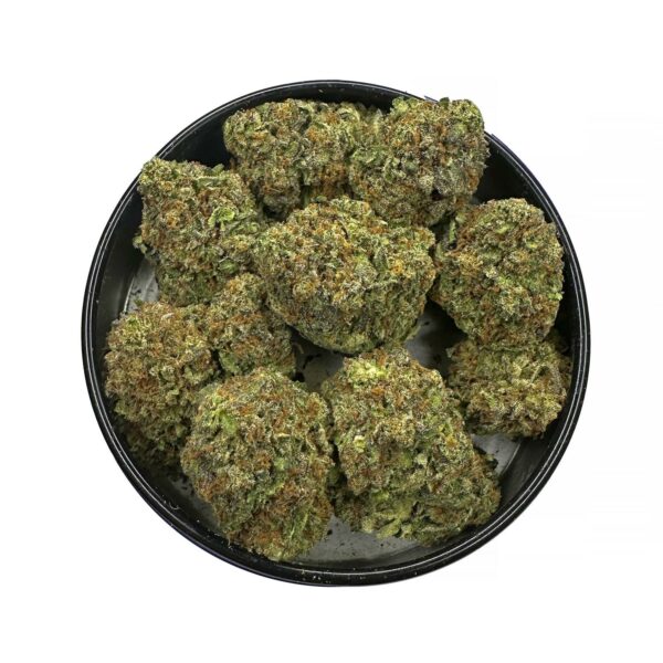 Mango Amnesia cannabis strain Mango Amnesia marijuana buds Mango Amnesia hybrid strain Buy Mango Amnesia online Mango Amnesia weed effects