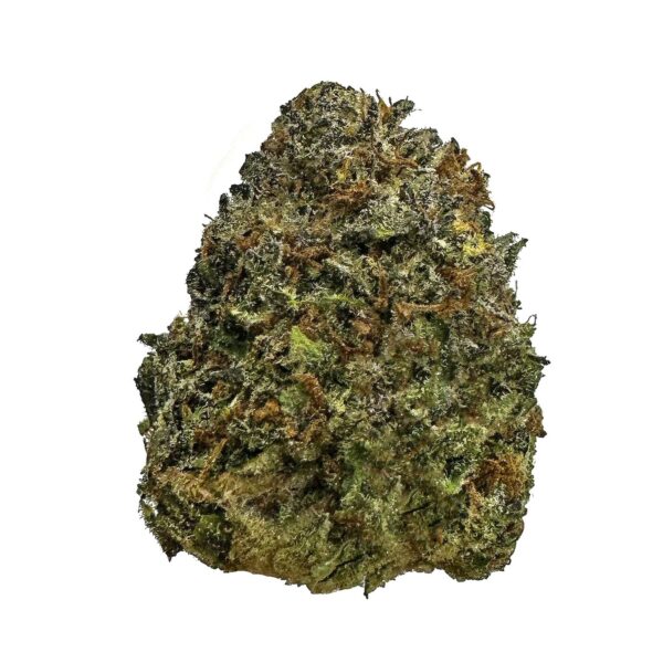 Mango Amnesia cannabis strain Mango Amnesia marijuana buds Mango Amnesia hybrid strain Buy Mango Amnesia online Mango Amnesia weed effects