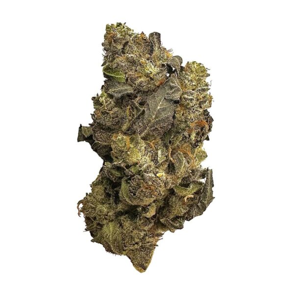 Pina Colada cannabis strain Pina Colada marijuana buds Pina Colada hybrid strain Buy Pina Colada online Pina Colada weed effects