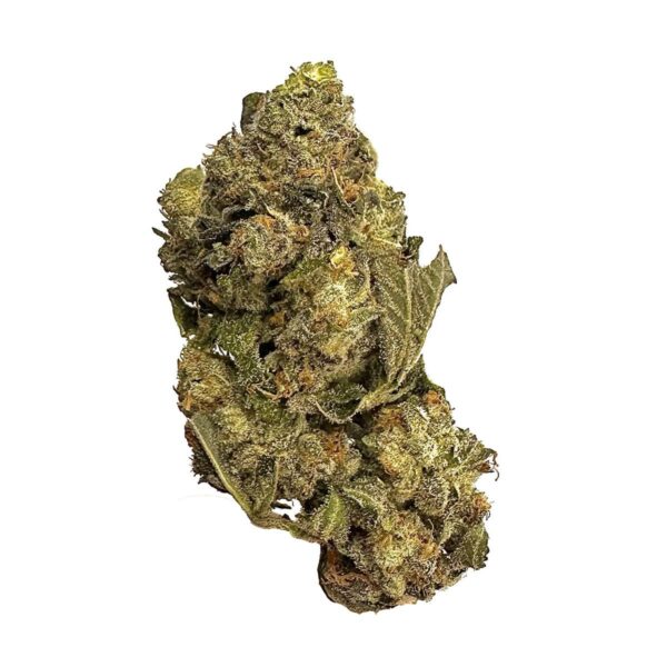 Pina Colada cannabis strain Pina Colada marijuana buds Pina Colada hybrid strain Buy Pina Colada online Pina Colada weed effects