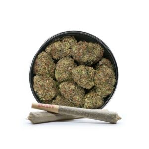 Pink Pancho strain marijuana buds, indica-dominant hybrid weed, fruity cannabis strain, Pink Pancho marijuana effects, relaxing indica-dominant hybrid