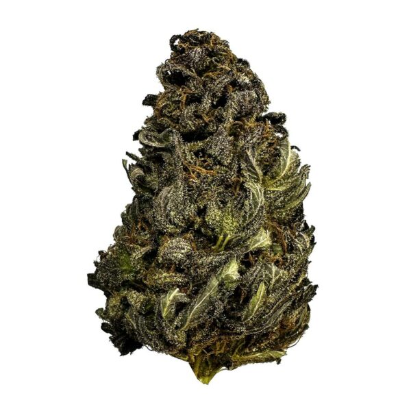 "Close-up of Purple Venom cannabis strain showcasing dense buds with bright orange hairs." "Purple Venom strain highlighting its pine, lemon, and diesel flavor profile."